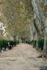 Roma_piazza Adriana_3268
