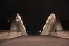 Roma_Ponte dell'Auditorium_6507