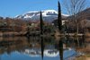 The lake and Dux_IMG_7768