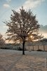 The snow_6673