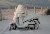 neve_6677